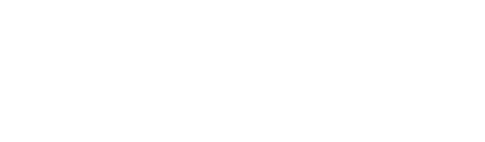 Web Player